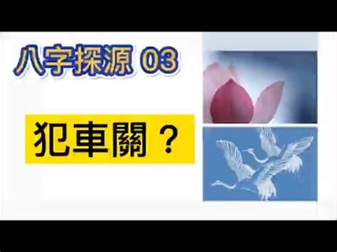 注意車關|【注意車關】命中註定？注意車關！化解危機有一招破解方法大公。